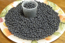 【新・乾燥豆】黒大豆　無選別特価　約100g
