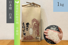 《農薬不使用・肥料除草剤不使用》お日さまたっぷりのお米『日本晴』【白米】1kg・2025年和歌山県産