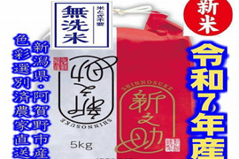 米とぎ不要の無洗米　大粒で　粒感がありしっかりとした食感　冷めても固くなりにくい新米　新潟県のお米のトップブランド　新之助（新潟県認証銘柄）　白米5kg ×1個★農家直送★色彩選別