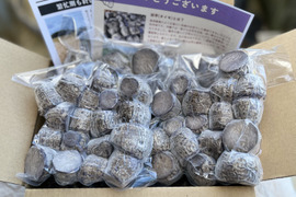 沖縄伝統野菜『田芋』冷凍小芋（450g×10)