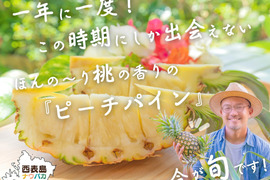 【味に自信あり】✨国内シェア0.3％の西表島産✨『ほんのり桃のような香り！ ​あま～い香り包まれます！』風味豊かな西表島産ピーチパイン２Kg