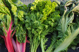 ✨【宝探しBOX】畑の「もったいない」を詰め合わせ！もったいないを美味しく救う！旬の不揃い訳あり野菜おまかせ便（Sサイズ）✨農薬・化成肥料不使用