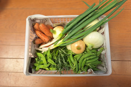 【農薬化学肥料不使用】旬の野菜セット(80サイズ)5品