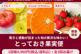 特別栽培農園直送✨サクサク新食感‼️特殊冷凍フローズンイチゴ❗️ 冷凍イチゴ1キロ×2個 | 果物/いちご 産直アウル 農家から直接