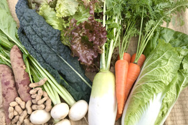 冬の野菜セット「料理しやすい秋野菜、集合！」（7〜8品目）