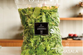 【徳用】LED施設栽培野菜 LOHASALA レタスミックスセット (500g×1パック) 洗わずに食べられる魅力満載のサスティナブル新野菜☆☆【菌数管理栽培野菜】