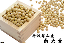 丹波篠山 白大豆 国産大豆100％ 大粒白大豆 300g 丹波篠山産 丹波 2L 大粒 特選 令和6年産 からだに優しい 大豆