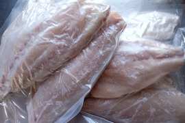 冷凍ヘダイ♪ムニエル、アクアパッツァ、塩焼き、フライ、煮付け、お吸い物などに！半身9枚入