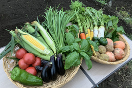 FARMABE ニラがメインのお任せ野菜セット 6〜10品目 100サイズ（3〜4人）※画像は季節による参考野菜となります。