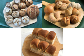 【超貴重な有機JAS認証パン】パンセット⑭+④+⑨：麦の栽培から一貫生産　自然栽培小麦のみ使用したパンセット　+　ハード系パンセット　+　食パン×2