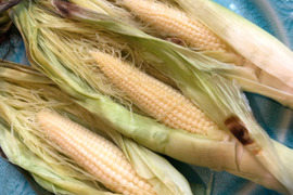 【今だけ】ホワイトショコラのヤングコーン（数量限定）3kg