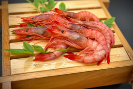 光放つ美しい縞模様「駿河湾産シマエビ」1kg
