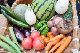 【旬の味覚を箱いっぱいに】農家直送！市場には出ない珍しい野菜も入った「宝箱」のような野菜セット