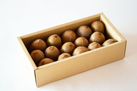 家庭用（訳あり品）キウイ　ミックスサイズ　1kg（約8～15個入） 370-2-1