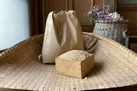 ホタル米　玄米5kg　コシヒカリ