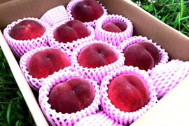 沖縄向【希少で美味しい桃 約4kg】自然に優しい化学農薬不使用栽培‼︎