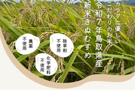 【令和7年新米】農薬・化学肥料不使用 冷めても美味しい「きぬむすめ」8分づき　10キロ