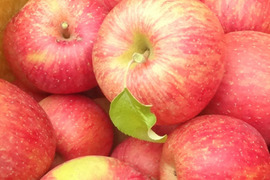 シナノスイート（約3㎏）
さわやなか甘みとシャキシャキ感がくせになる　信州長野県産りんご