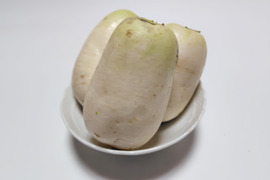 おろしそばに最適! 福井県産 辛味大根(品種名:旭山) 4kg