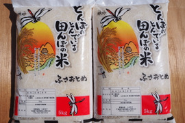 8/9収穫　新米　ふさおとめ　無洗米　10kg （5kg×2）令和6年産