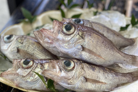 【大容量】魚の旨みがしっかり味わえる魚デン2kg(1PC✖️2)