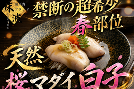 【一般市場に出回らない】食通が黙る超希少幻の天然国産『桜真鯛大トロ白子』🐟長州床波ブランド数量極少約200g【朝どれ】【3月下旬】