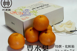 特選　豊水梨（大玉）　化粧箱入約3kg(5～7玉)　【熨斗対応】ギフト