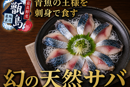 【一度知ると戻れない】極上天然鯖の刺身体験『幻の天然サバ』業界初パウダースノー冷凍最高鮮度本格刺し盛り🐟大容量パッケージ刺し盛り約600g甑島ブランド【6月上中旬予約】