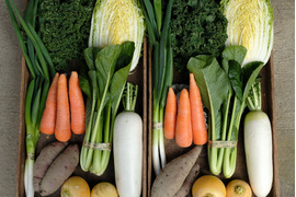 【旬のお野菜セット（共同購入用）】きほんのお野菜セット（8品）×2セットを一箱にまとめてお届けします!!