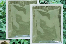 日本山人参粉末（ヒュウガトウキ）６０ｇ×２袋、 栽培期間中は農薬・化学肥料不使用、本場大分県産　品質に自信あり