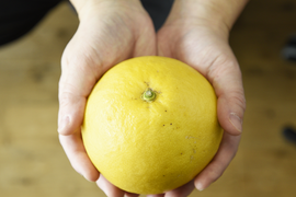 プリプリとした食感と爽やかな甘み　文旦（ぶんたん）【家庭用(訳あり)】[10kg]　336-4