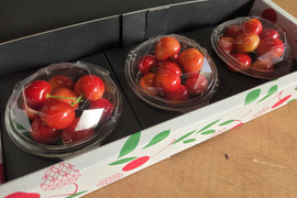 大粒で甘酸っぱい『やまがた紅王』100g×3　3L　秀品　ダイヤパック