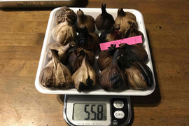 E 自然栽培　黒にんにく　大粒多めたっぷり16個　良い仕上がりです 人気の黒ニンニクです　食べやすくて美味しい