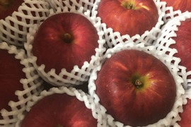 【夏りんご】青森県産りんご 「つがる」家庭用 キズ有 約5kg×2箱