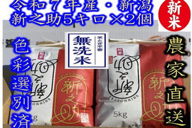 米とぎ不要の無洗米　大粒で　粒感がありしっかりとした食感　冷めても固くなりにくい新米　新潟県のお米のトップブランド　新之助（新潟県認証銘柄）　白米5kg ×2個★農家直送★色彩選別