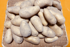 【豊作特価】希少な自然栽培のジャガイモ【メークイン】5kg（箱重量込）