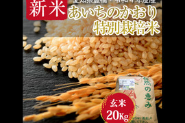 【栽培期間中農薬不使用・一等米】あいちのかおり 玄米20kg（10㎏×2袋）【令和4年・愛知県産】