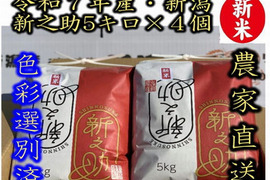 お正月限定お値打ち（ 通常の90％の価格）　大粒で　粒感がありしっかりとした食感　冷めても固くなりにくい新米　新潟県のお米のトップブランド　新之助（新潟県認証銘柄）　白米5kg × ４個★色彩選別済
