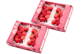 【予約販売 2026年11月下旬～順次発送】🍓あまおう苺 サイズ色々❤️270ｇ×4パック！