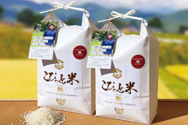 きわだつ大粒！令和6年産【極】白米・4kg　特別栽培米　こぴっと米