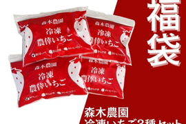 【福袋2025】森木農園人気の冷凍いちご贅沢福袋（紅ほっぺ＆きらぴ香＆おいCベリー）日常使いしやすい個袋パック。