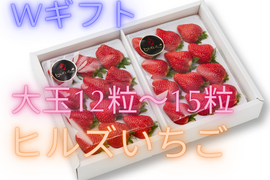 W【ギフト】宮城県産「完熟の大玉スターナイト」24粒～30粒ギフト箱入り