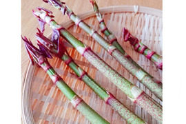 天然山菜【いたどり】国産 1㎏ 煮物 炒め物 きんぴら 天ぷら等で 山形産《予約受付》