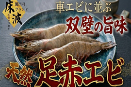 🦐市場に滅多に出ない幻級天然海老🦐濃密甘味の極希少『足赤エビ』約500g長州床波ブランド【9月中旬予約】