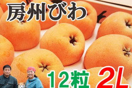 6月上旬～中旬発送『房州びわ/枇杷 2Lサイズ12個入り』南房総市産の大実の枇杷を農家から