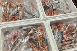 【魚ガチャ】欲張って2袋！何が入っているかわからない［未利用魚］おかず