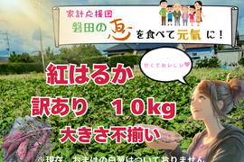 ネットリ甘ーい紅はるかを愛情価格でお届け！(10kg）