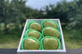 【早出し！100箱限定】食べ頃ラフランス！プロが食べ頃まで追熟！【 訳あり品 ラ・フランス！】 約2㎏ ご家庭用やおすそ分けに丁度いい！ R06ｰ06