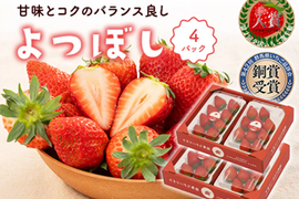 4パック｜甘味とコクのバランス良し！鮮やかな赤色いちごのよつぼし 合計1kg！