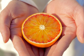 【甘さと爽やかな酸味】ブラッドオレンジ 3kg 【希少柑橘】